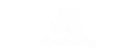 Audacy